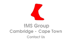 tMS Group logo
