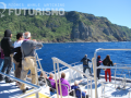 Viewing the coast of São Miguel island from our catamaran