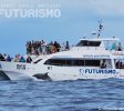 Futurismo's catamaran with bottlenose dolphins