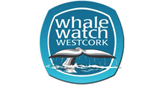 Whale Watch West Cork